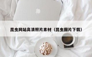山南昆虫网站高清照片素材（昆虫图片下载）